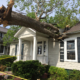 a tree lays on top of a house. The roof is caved in