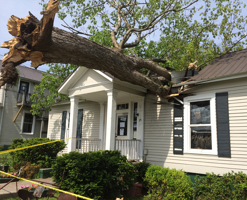 a tree lays on top of a house. The roof is caved in